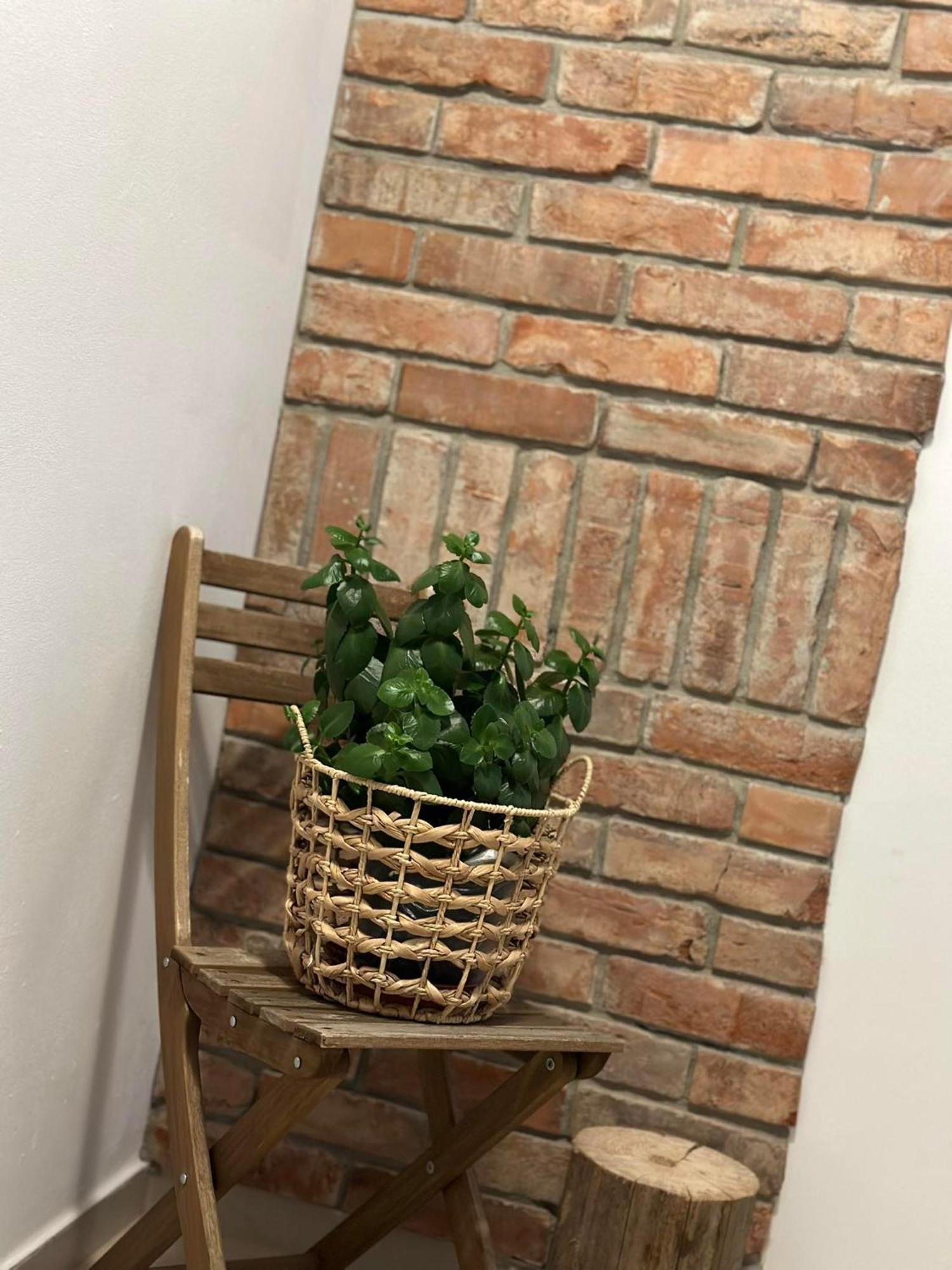 Apartament Fajny Kat Ustrzyki Dolne Luaran gambar